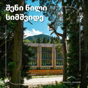 Bakuriani Kohta-Mitarbi Cozy studio B1